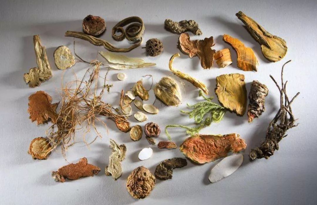 魚塘里配置這些中草藥,魚肉質好,效益高!價格比同類魚每公斤高7毛!