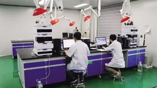 由隴藥骨干企業(yè)向龍頭企業(yè)邁進(jìn)