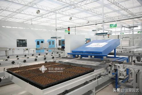 溫室作業(yè)效率低 來(lái)向這家中藥材產(chǎn)業(yè)示范區(qū)學(xué)習(xí)