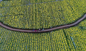 定南縣委書記賴正文在人民網(wǎng) 贛南日?qǐng)?bào) 刊文談這項(xiàng)工作