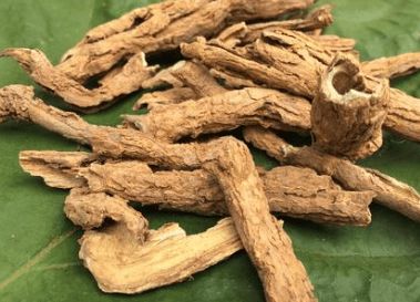 地骨皮這種藥材,控制血糖,有效地緩解預防三高 趕緊告訴身邊人