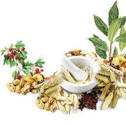 藥材 中藥 素材矢量圖免費下載 psd格式 282像素 編號22771698 千圖網(wǎng)