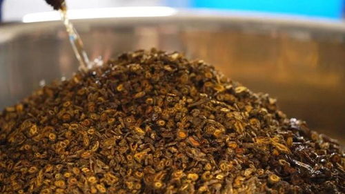 眉山雅連上榜 四川十大地理標志道地藥材 ,它的神奇你知道嗎