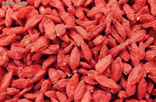 藥材烘干機烘干枸杞除濕控溫很重要 枸杞烘干機 食品烘干設備