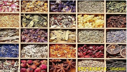 中藥材干燥烘干技術的發(fā)展現(xiàn)狀與趨勢