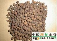 藥材總公司中藥公司