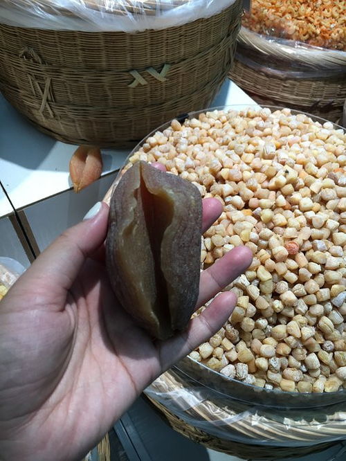 遇見三亞,聞到海的味道