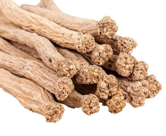 黨參價(jià)格最新價(jià)格行情、黨參哪里產(chǎn)的最好