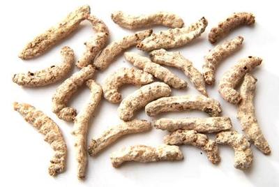 僵蠶副作用是什么呢