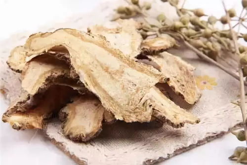 為什么總是疲勞沒精神 每周一次補回來