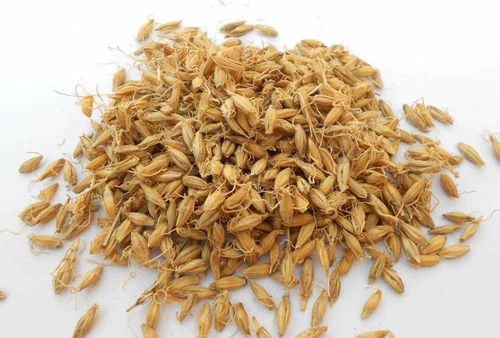 天天吃藥把肝臟都吃出毛病來 6種預防藥物性肝損傷措施