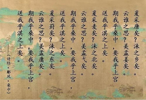 從 詩經 中走出的中藥,認識一下菟絲子,和女子有關