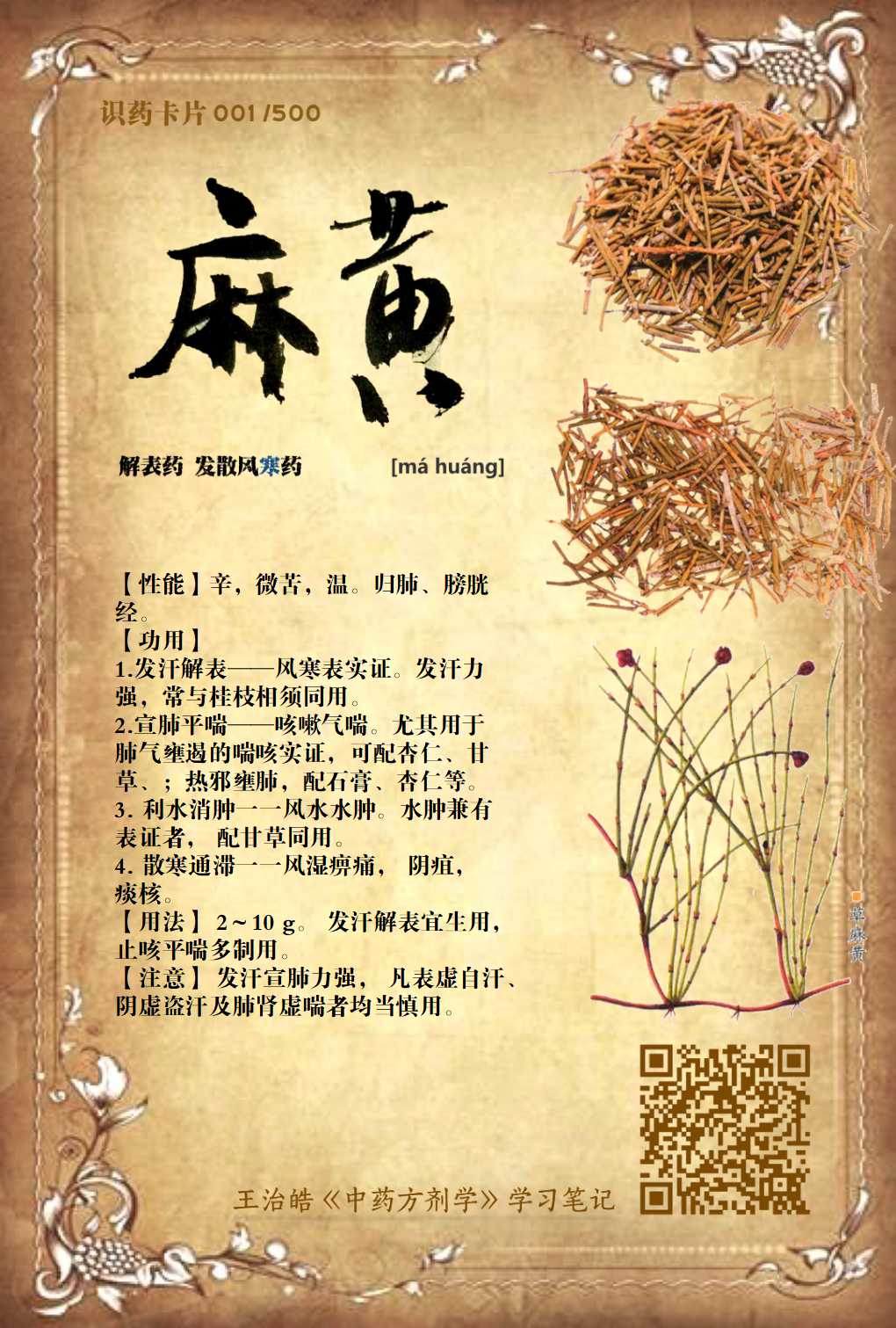 麻黃在線收聽_王治皓【中藥方劑】卡片歌訣_喜馬拉雅FM