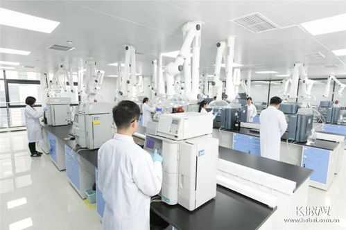 河北五家企業躋身全國醫藥工業百強，本土藥材資源優勢凸顯