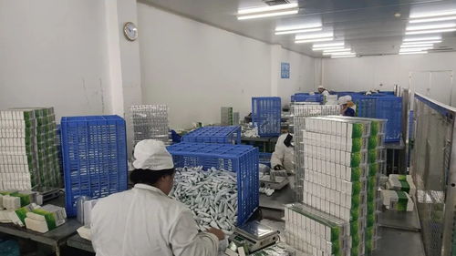 修文縣鉚足“虎勁”推動醫藥產業高質量發展