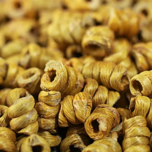 石斛功效與搭配 解暑降燥的養生良方