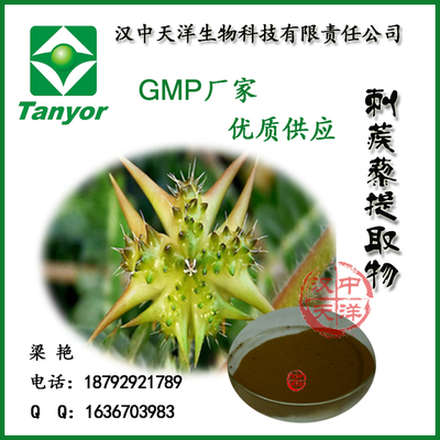 刺蒺藜提取物 刺蒺藜皂甙90%的高品質GMP廠家供應優勢與應用