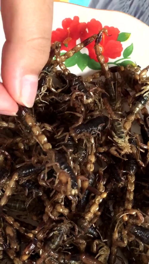 滋陰補腎男人必備 那些罕見卻效果顯著的珍貴藥材