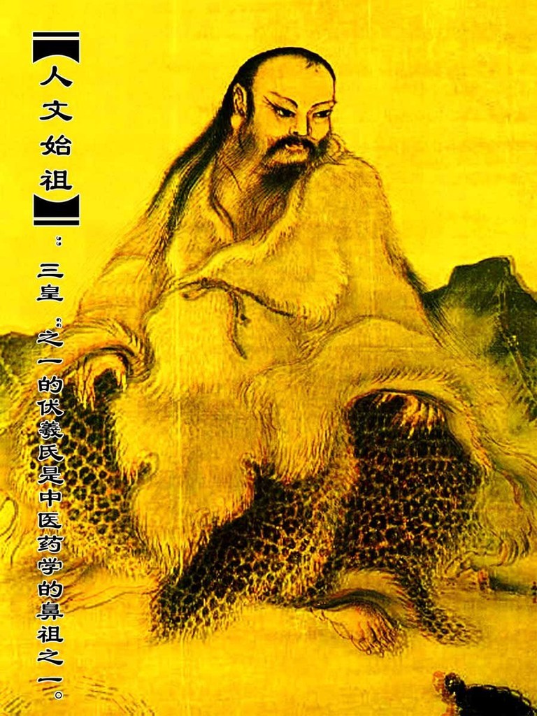 藥材的魅力 中醫藥文化的傳承與展示