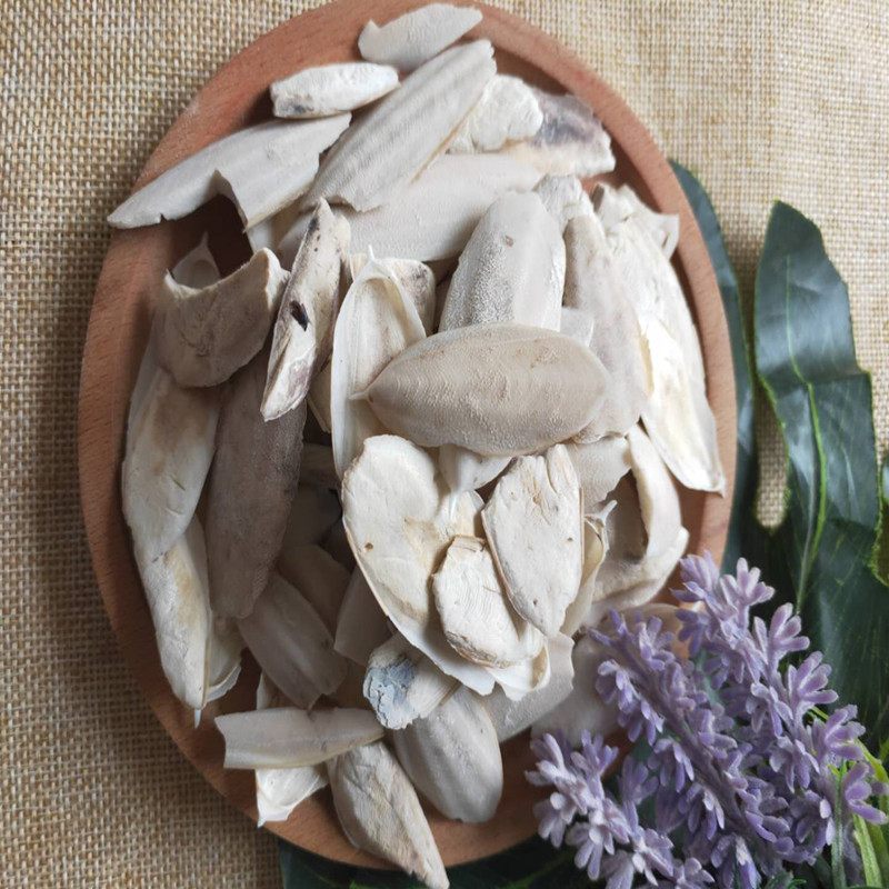 探秘“大海的饋贈(zèng)”——中藥材海螵蛸的前世今生