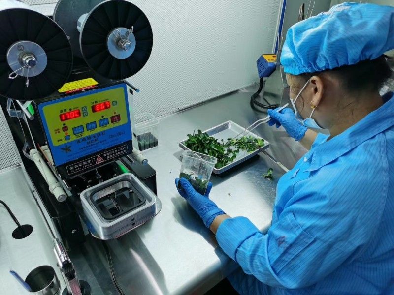 校領(lǐng)導(dǎo)帶隊(duì)深入企業(yè)，訪企拓崗力促高質(zhì)量就業(yè)——走進(jìn)廣州市卉通農(nóng)業(yè)科技有限公司（藥材板塊）