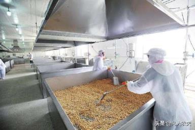 農(nóng)村創(chuàng)業(yè)新路徑 開小工廠深加工藥材，因地制宜促增收